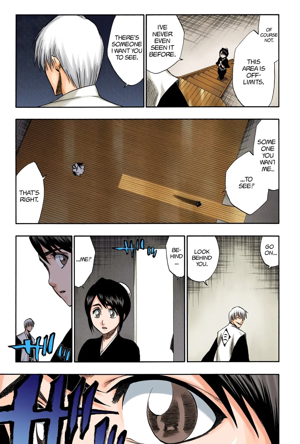 Bleach Colored Manga