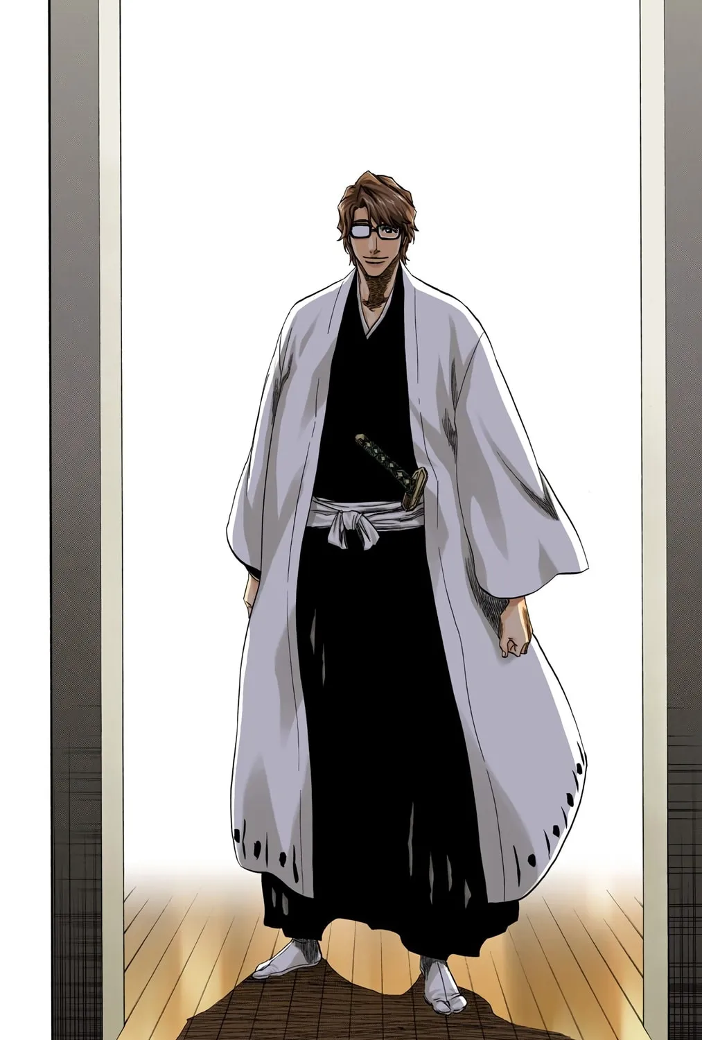 Bleach Colored Manga