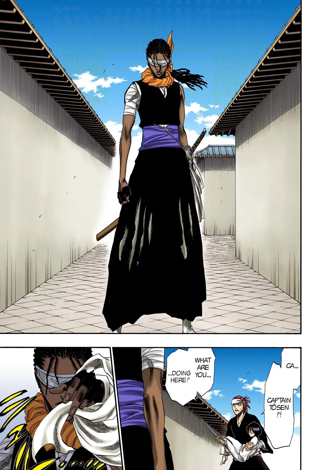 Bleach Colored Manga