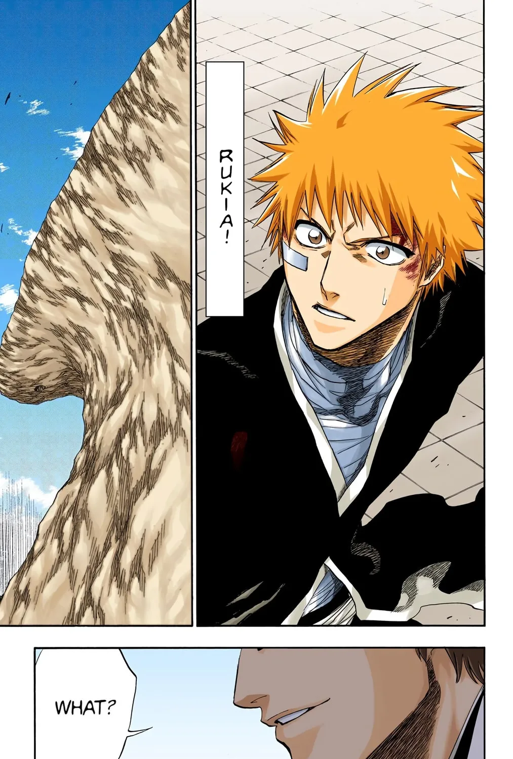 Bleach Colored Manga