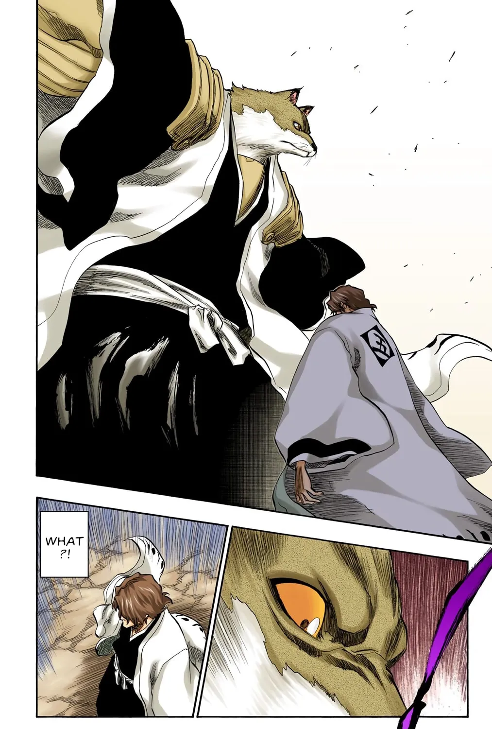 Bleach Colored Manga