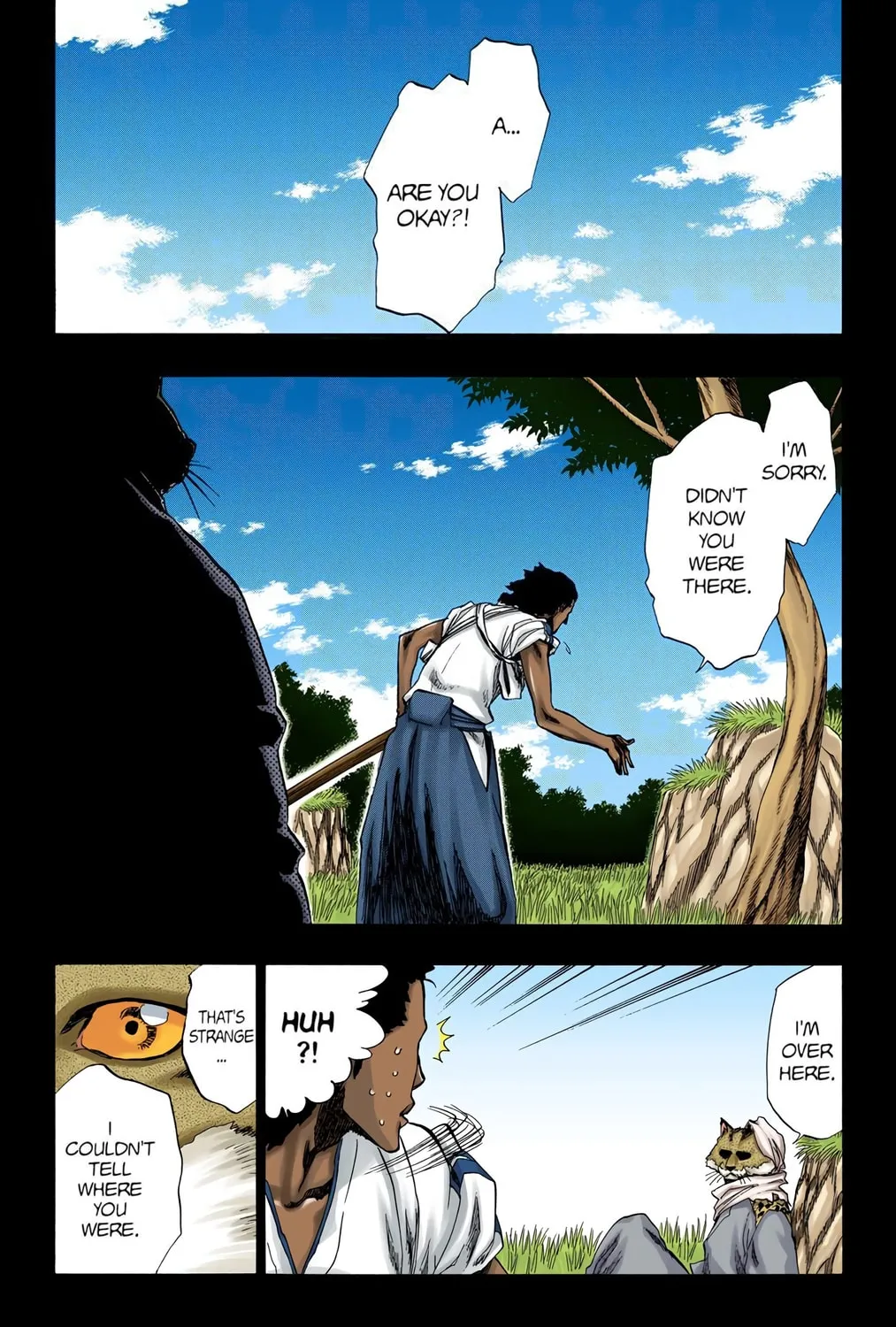 Bleach Colored Manga