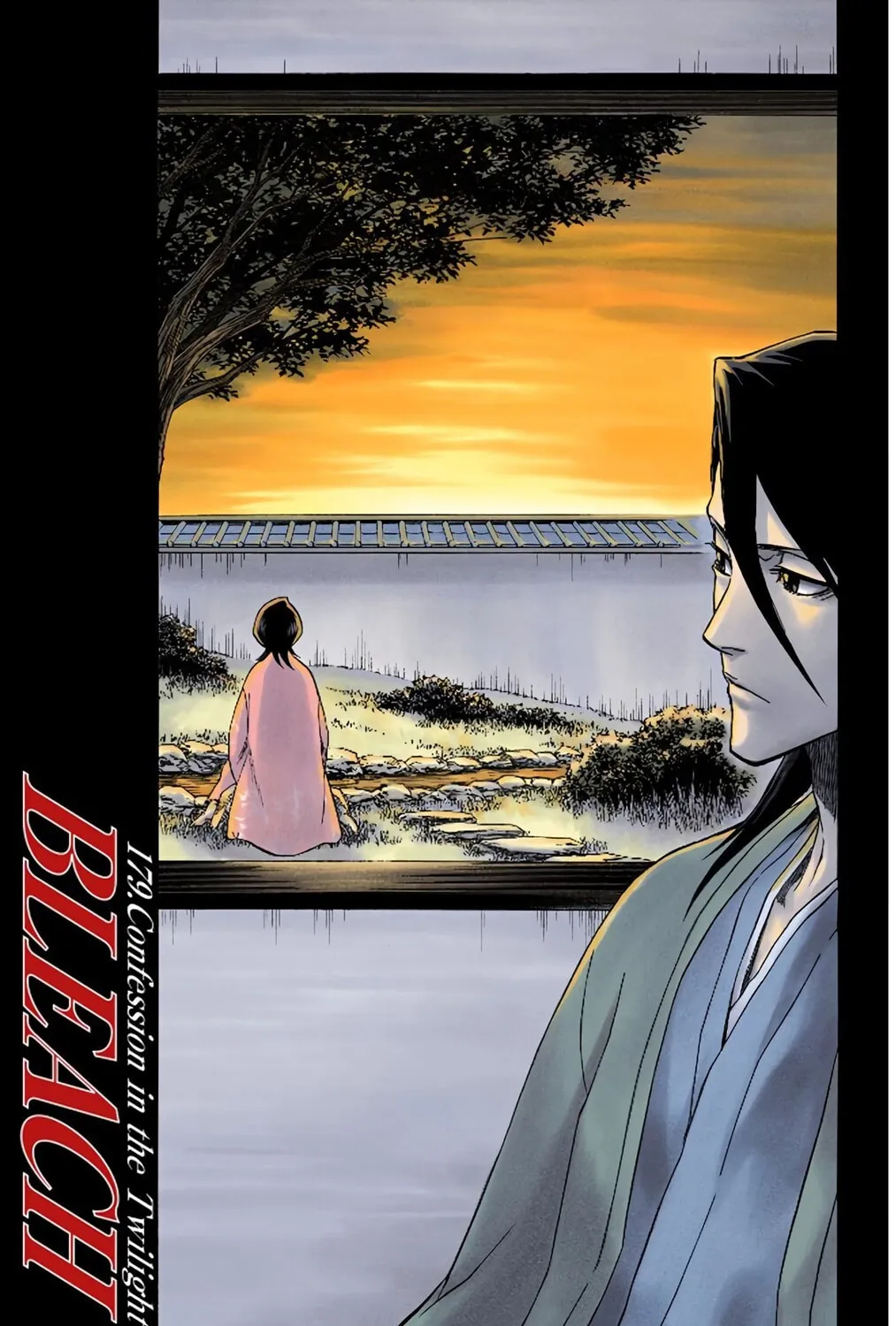 Bleach Colored Manga