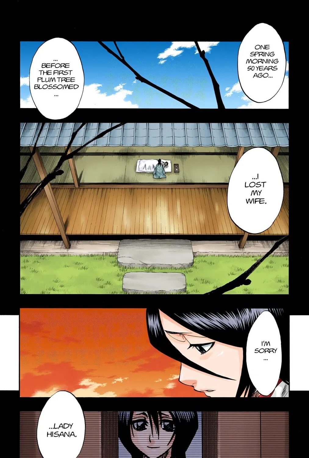 Bleach Colored Manga