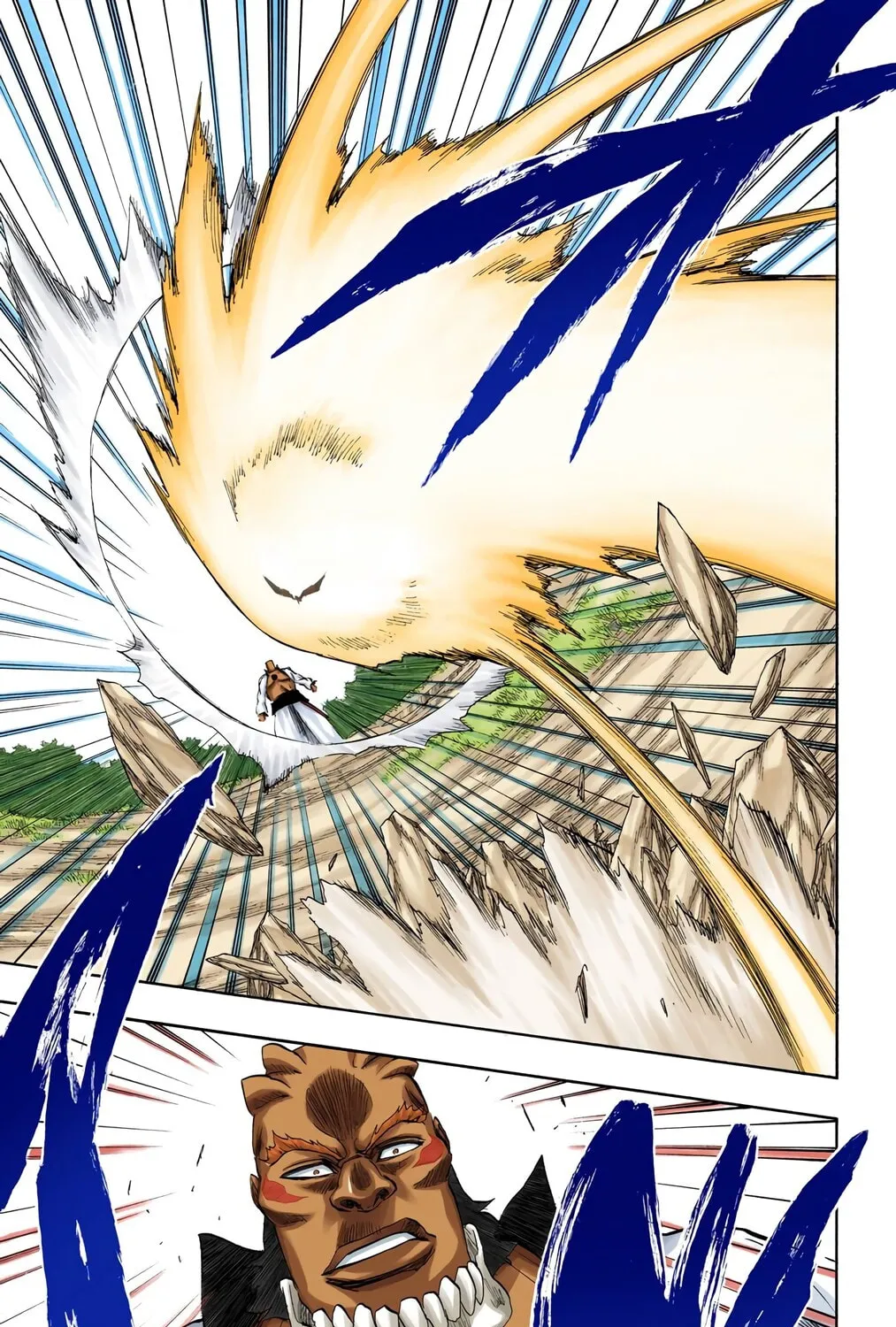 Bleach Colored Manga
