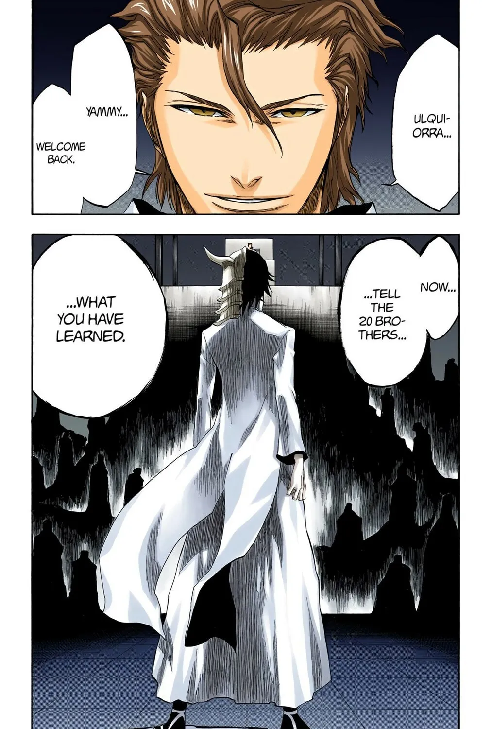 Bleach Colored Manga