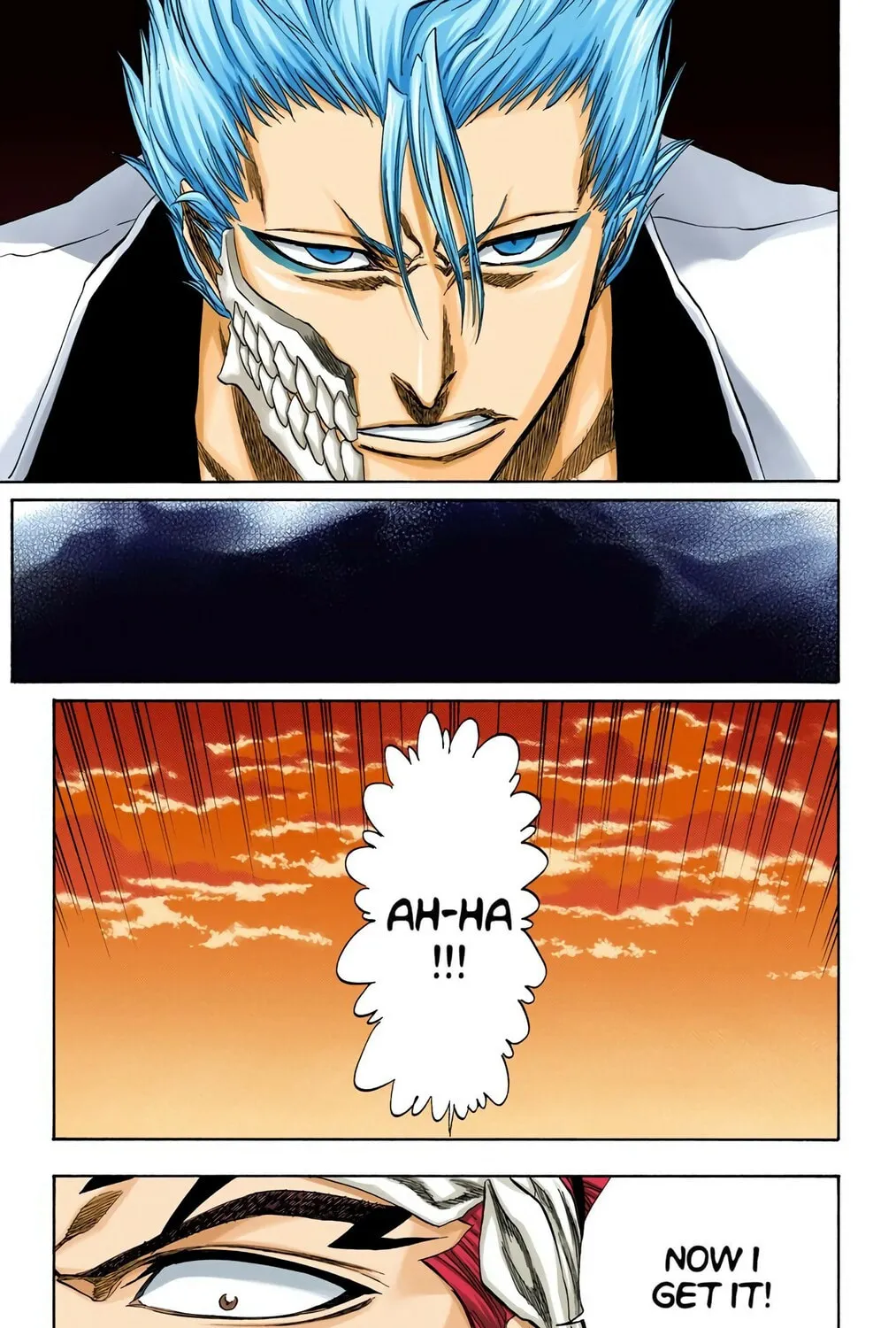 Bleach Colored Manga