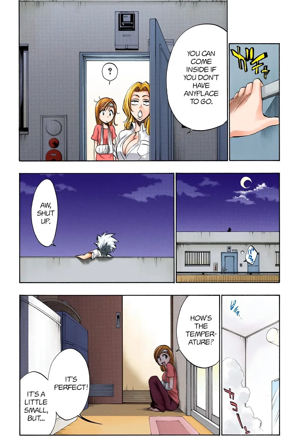 Bleach Colored Manga