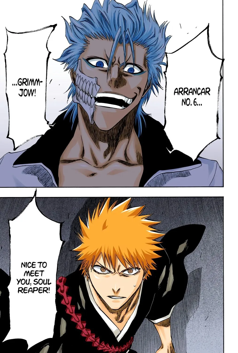 Bleach Colored Manga