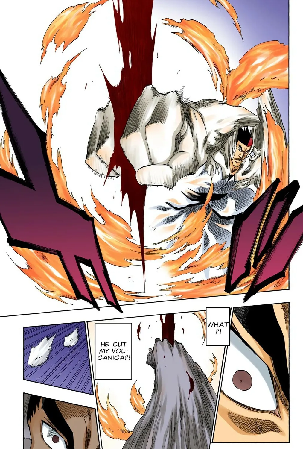 Bleach Colored Manga