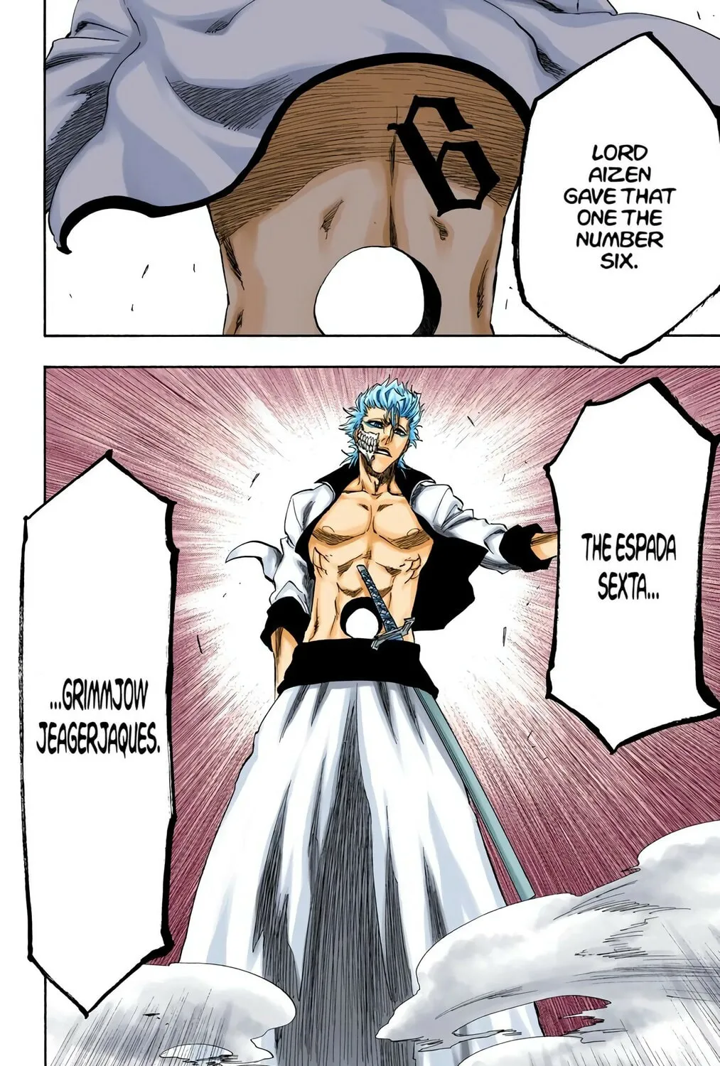Bleach Colored Manga