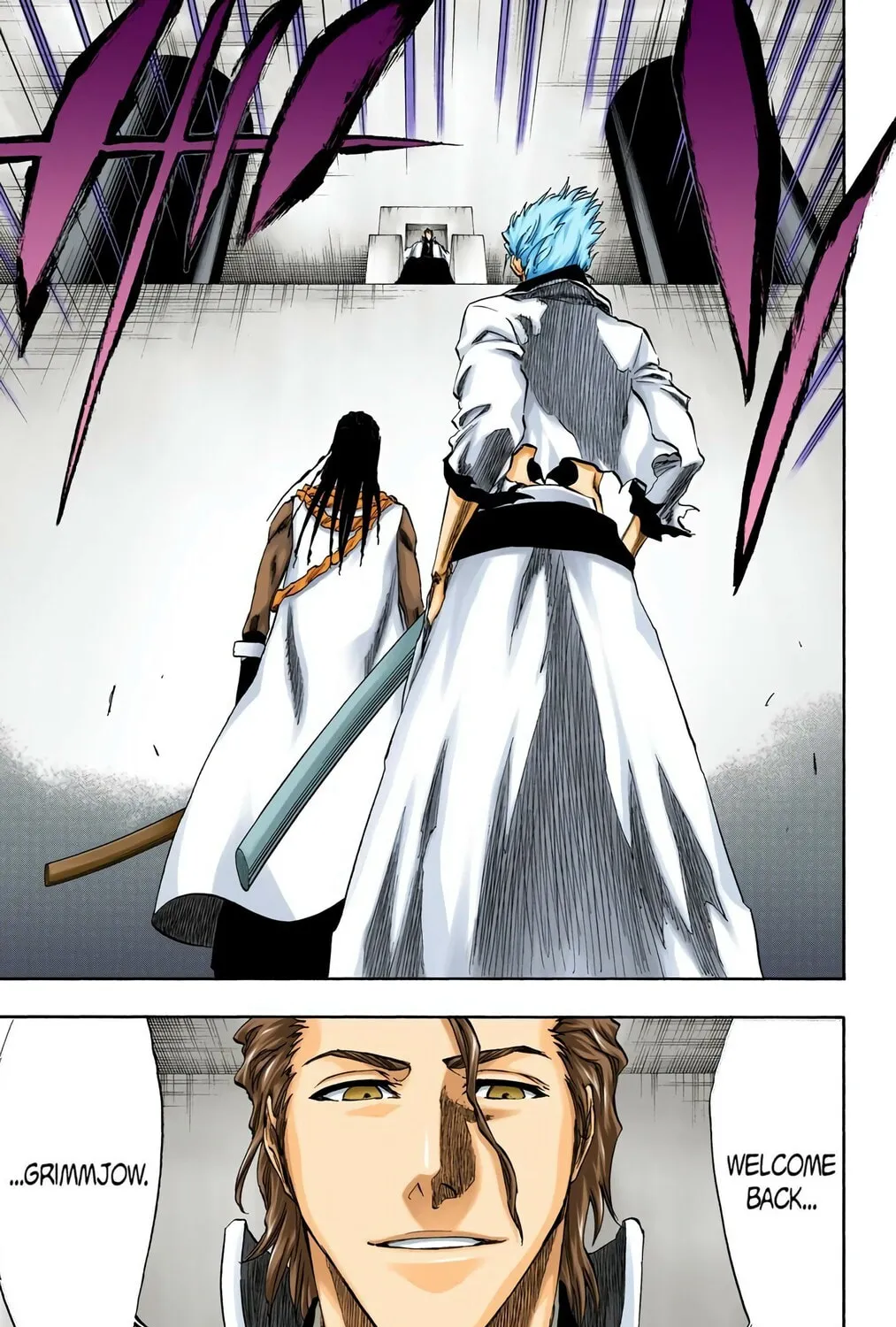 Bleach Colored Manga