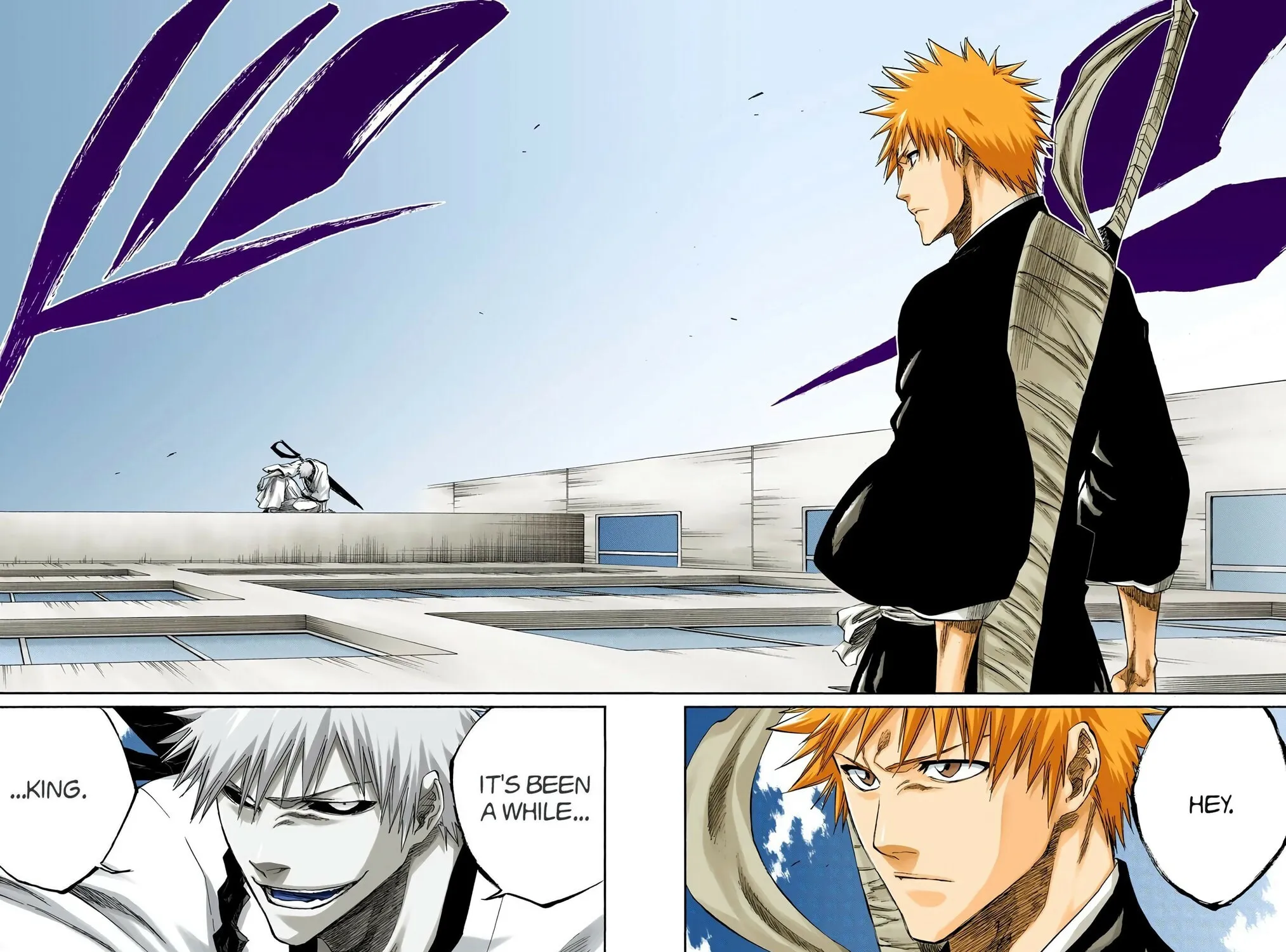 Bleach Colored Manga