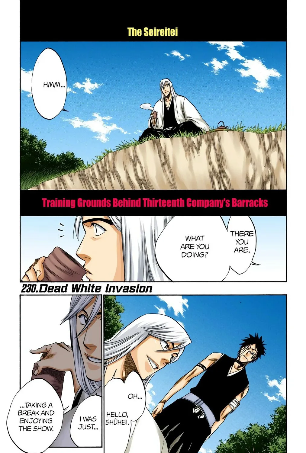 Bleach Colored Manga