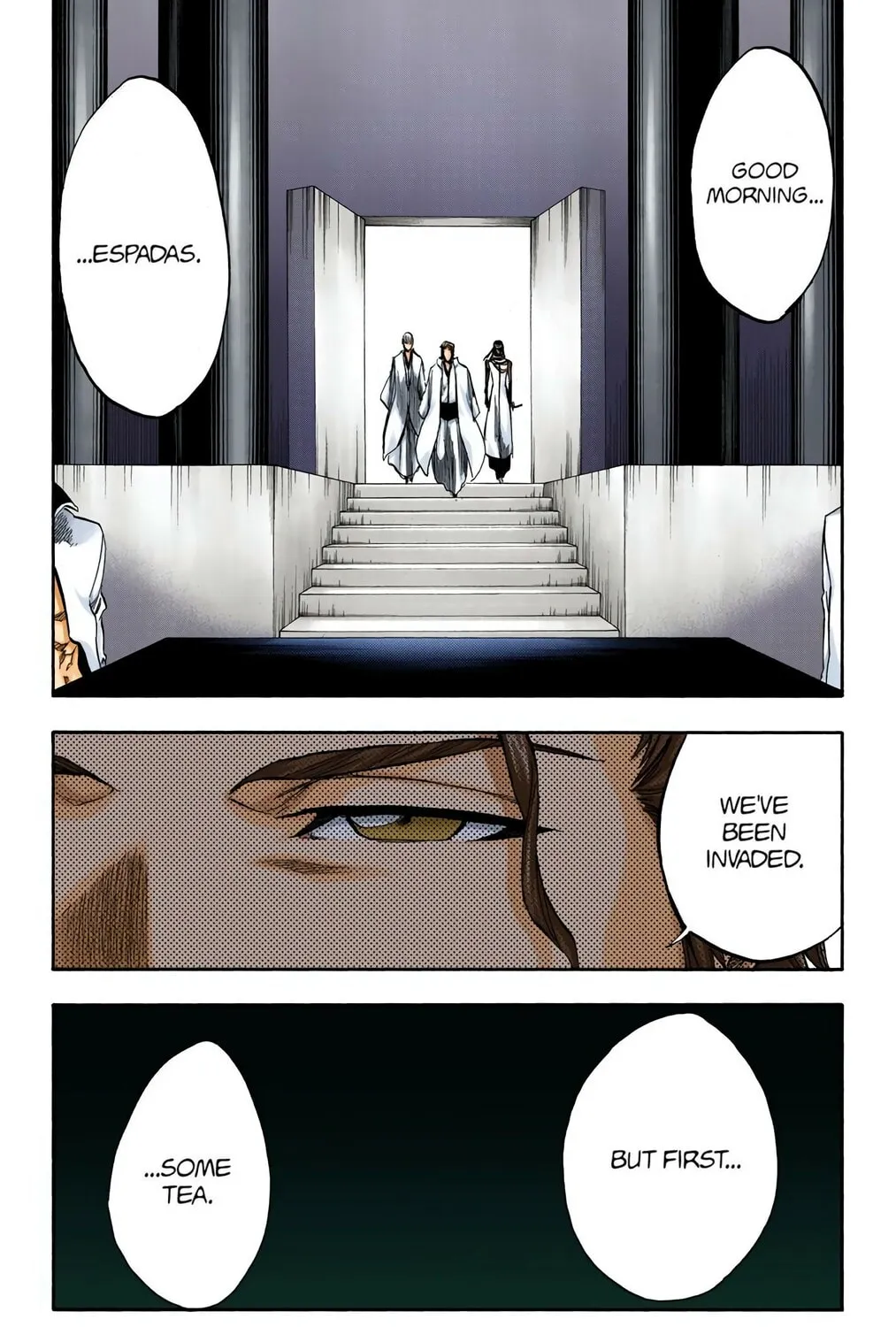 Bleach Colored Manga