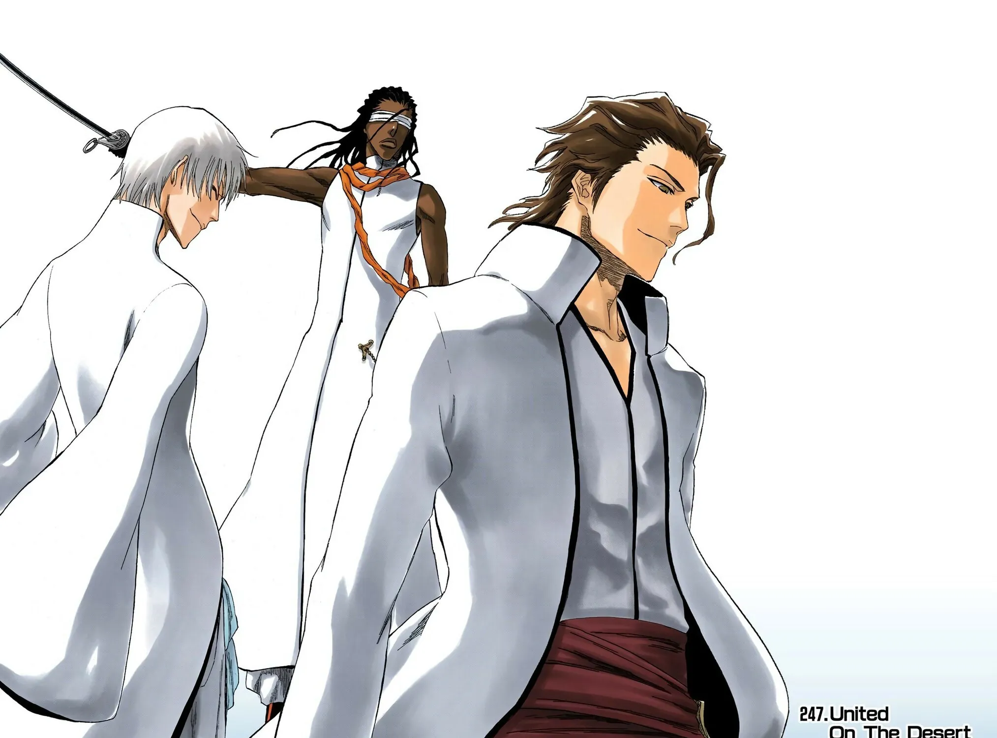 Bleach Colored Manga