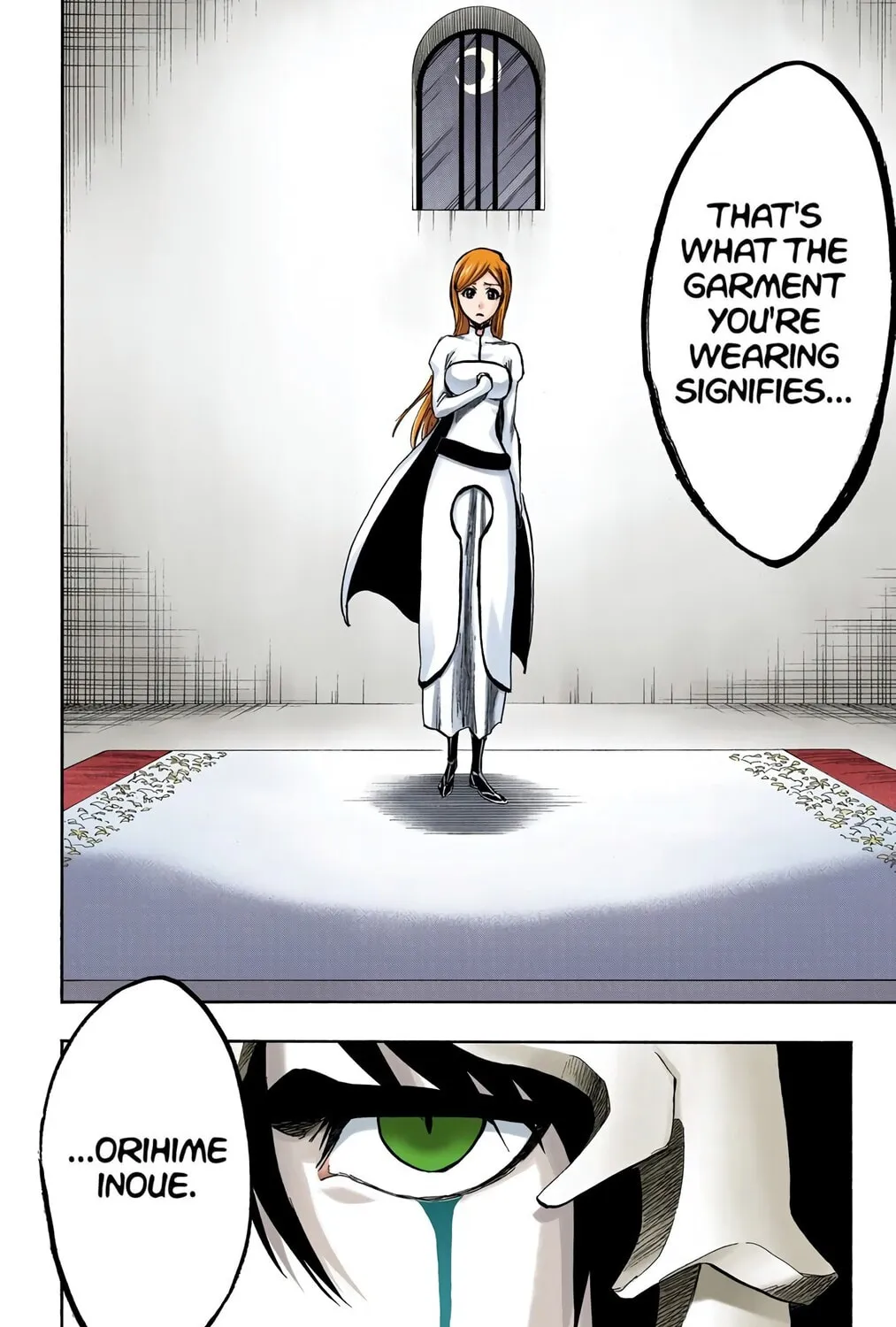 Bleach Colored Manga