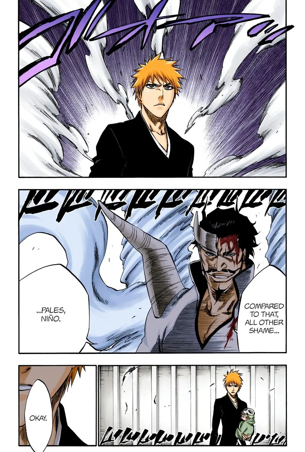 Bleach Colored Manga