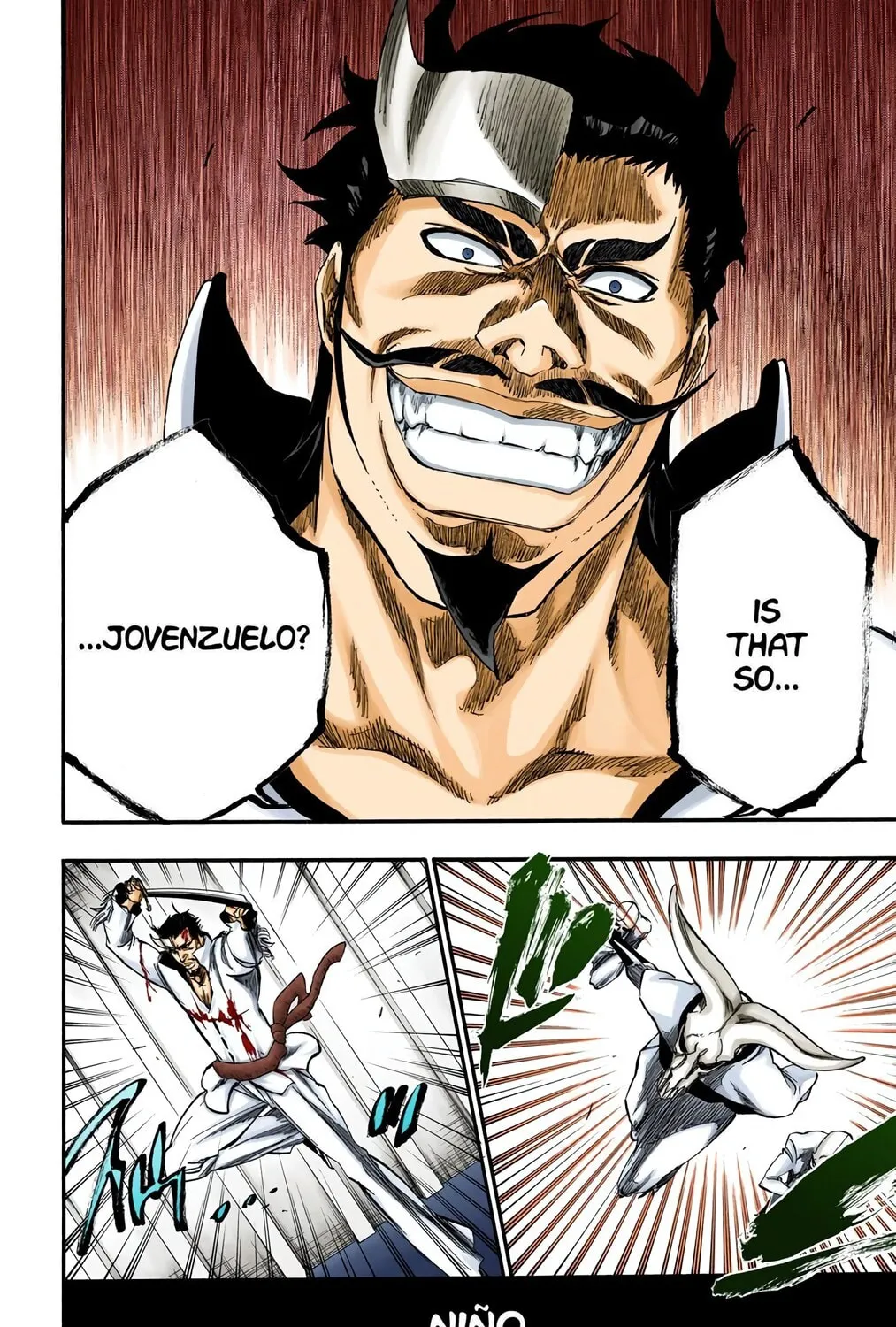 Bleach Colored Manga