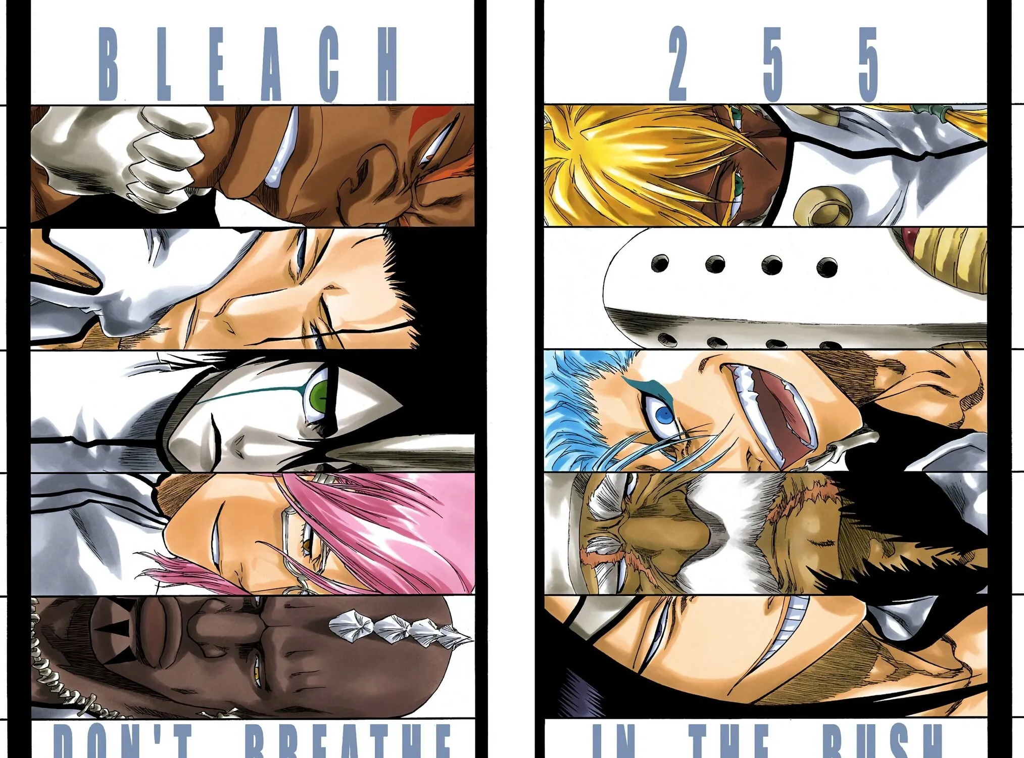 Bleach Colored Manga