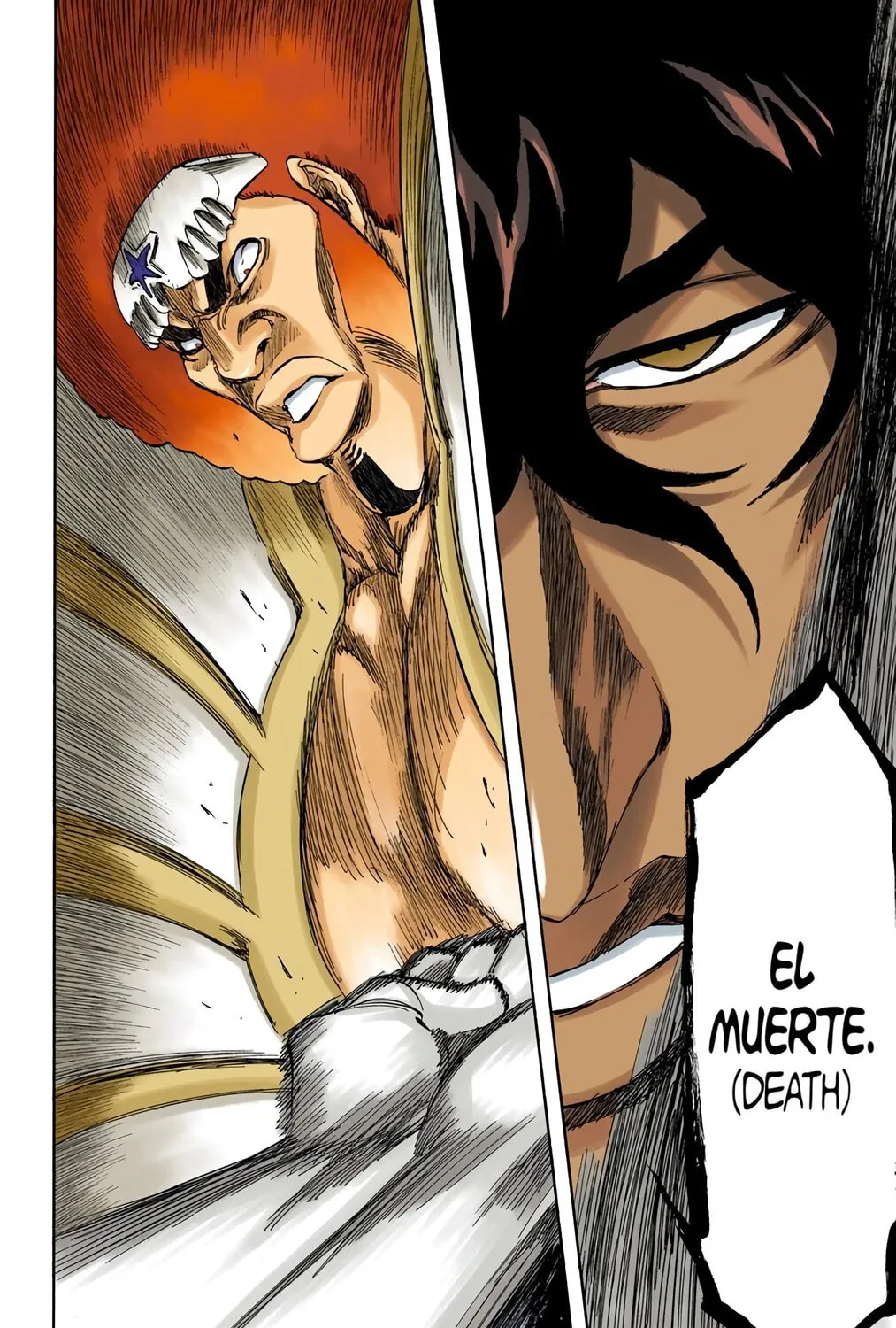 Bleach Colored Manga