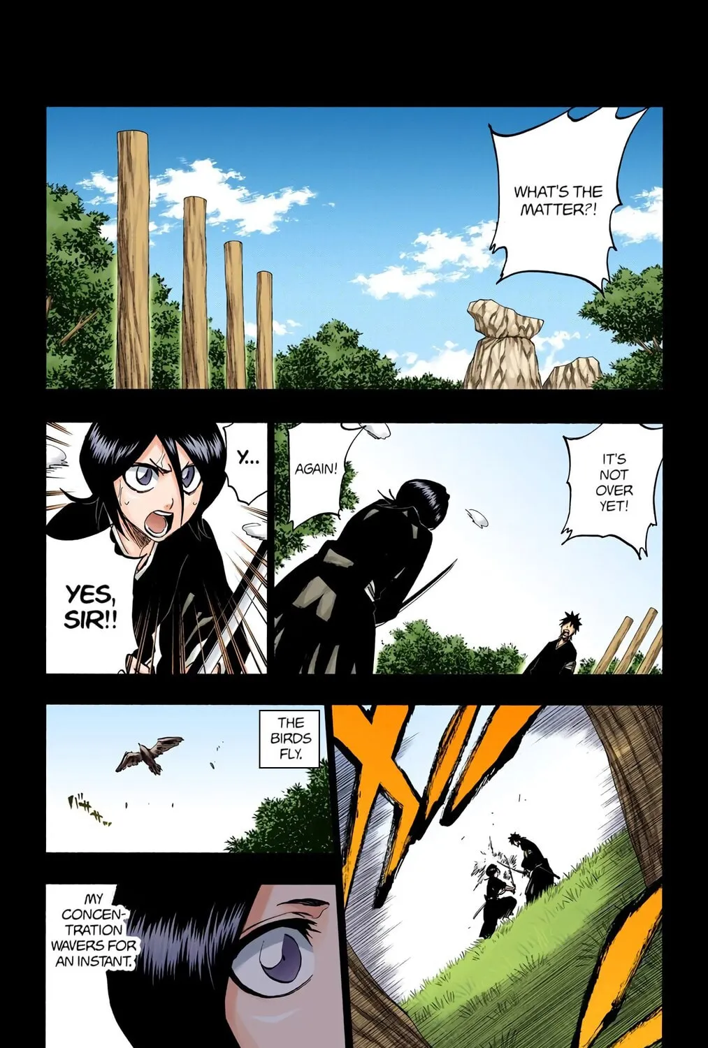 Bleach Colored Manga