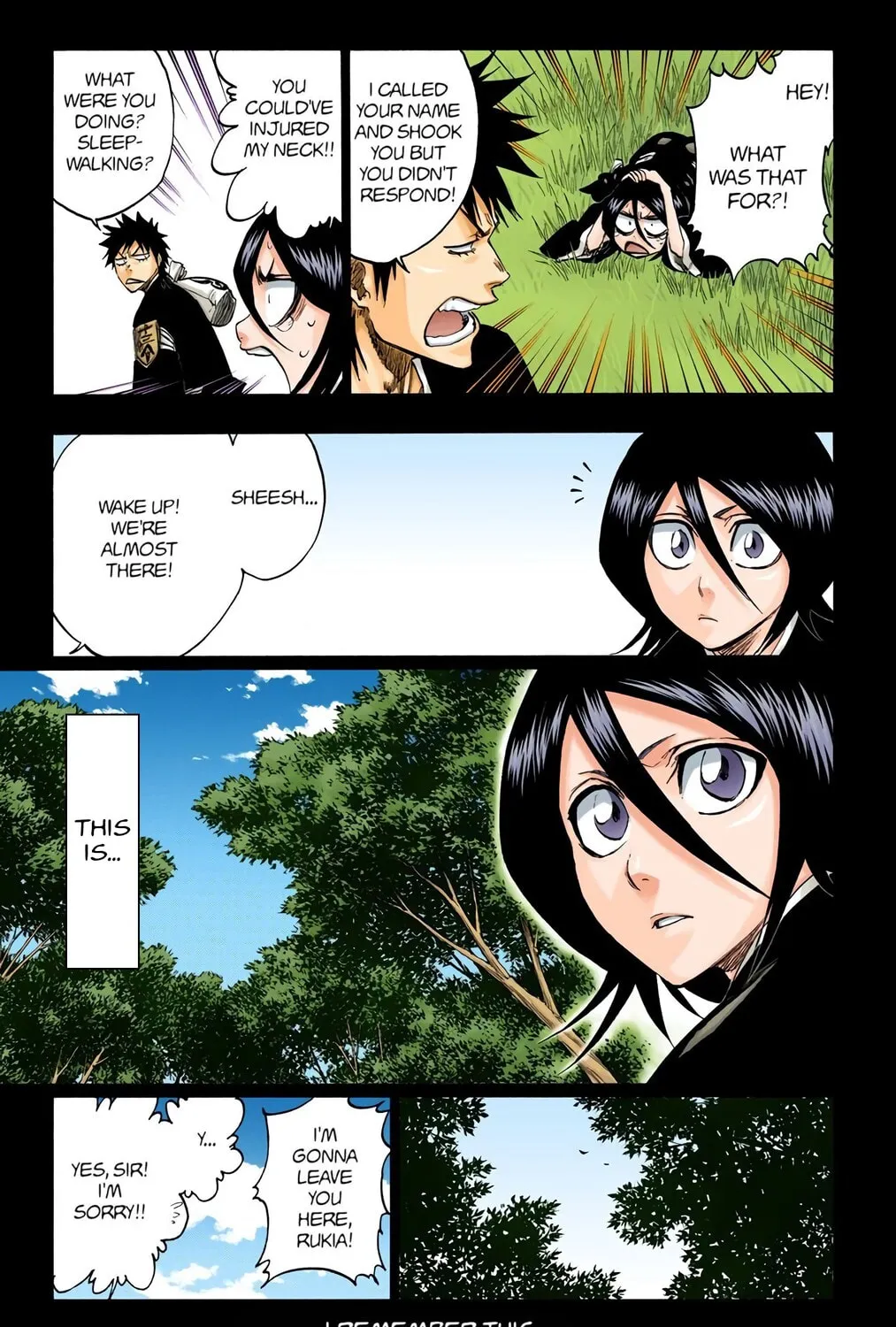 Bleach Colored Manga