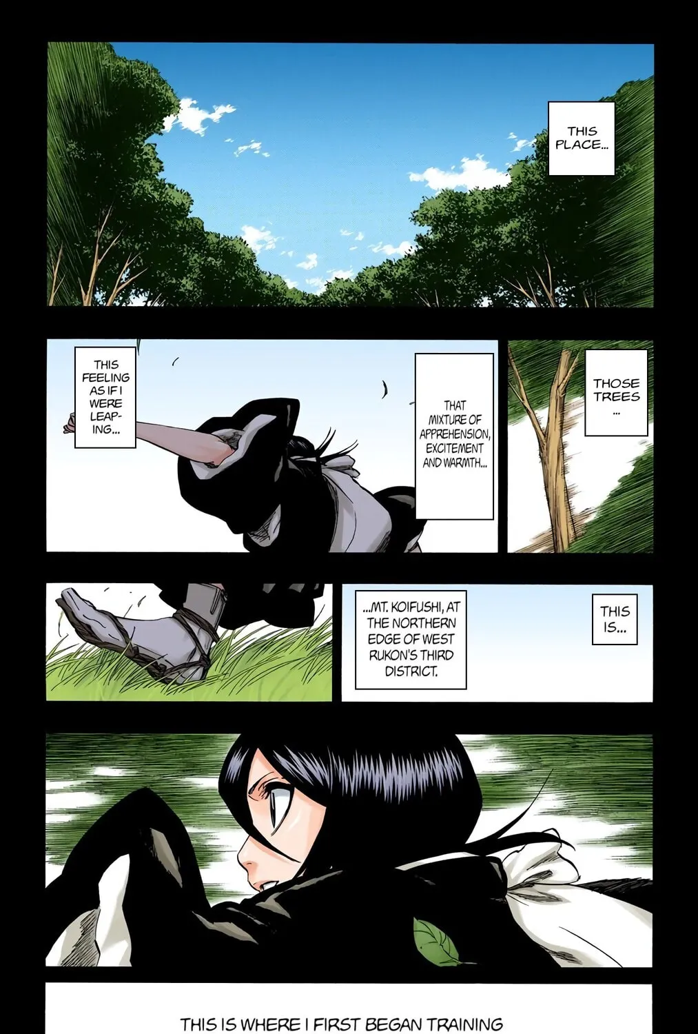 Bleach Colored Manga