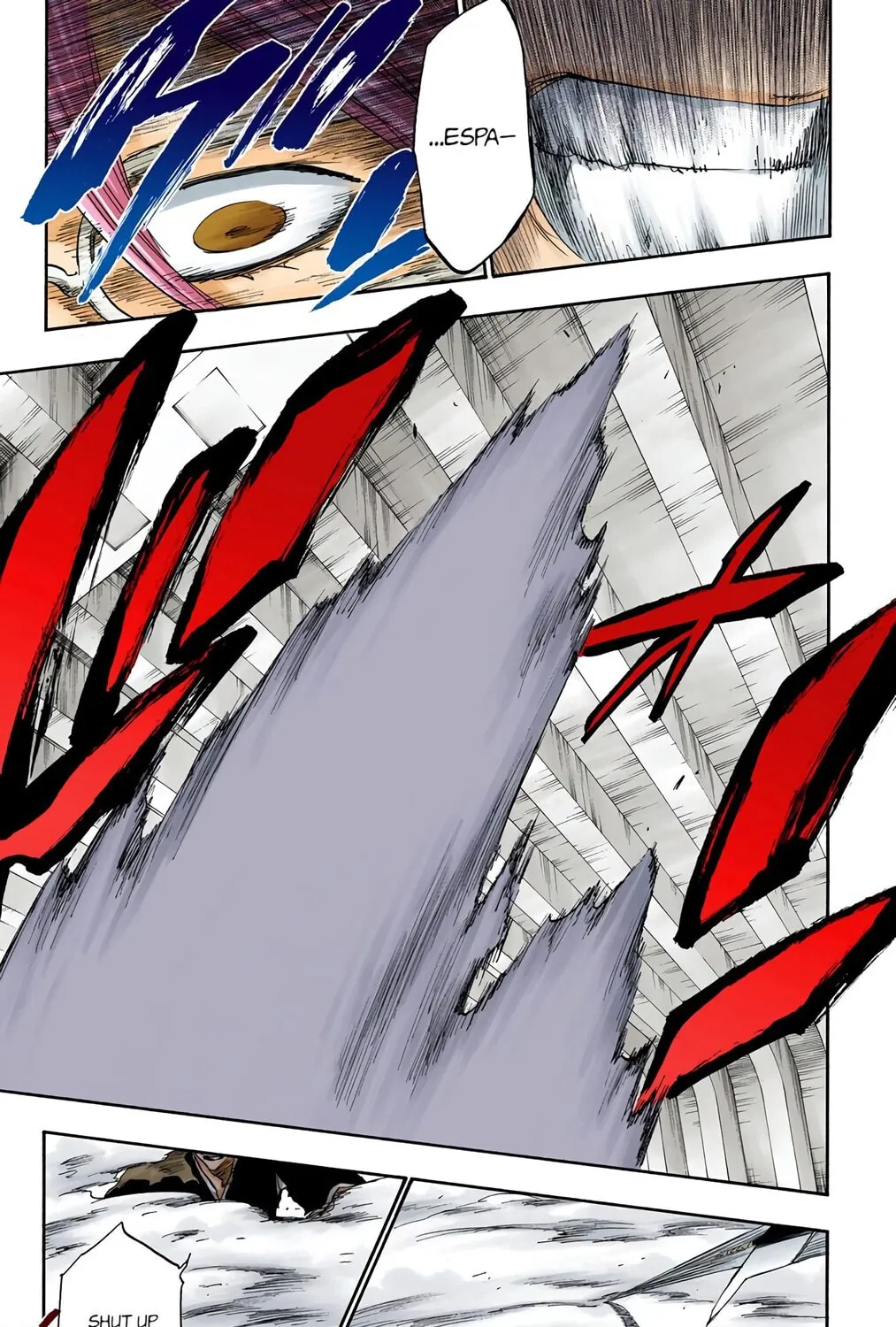 Bleach Colored Manga
