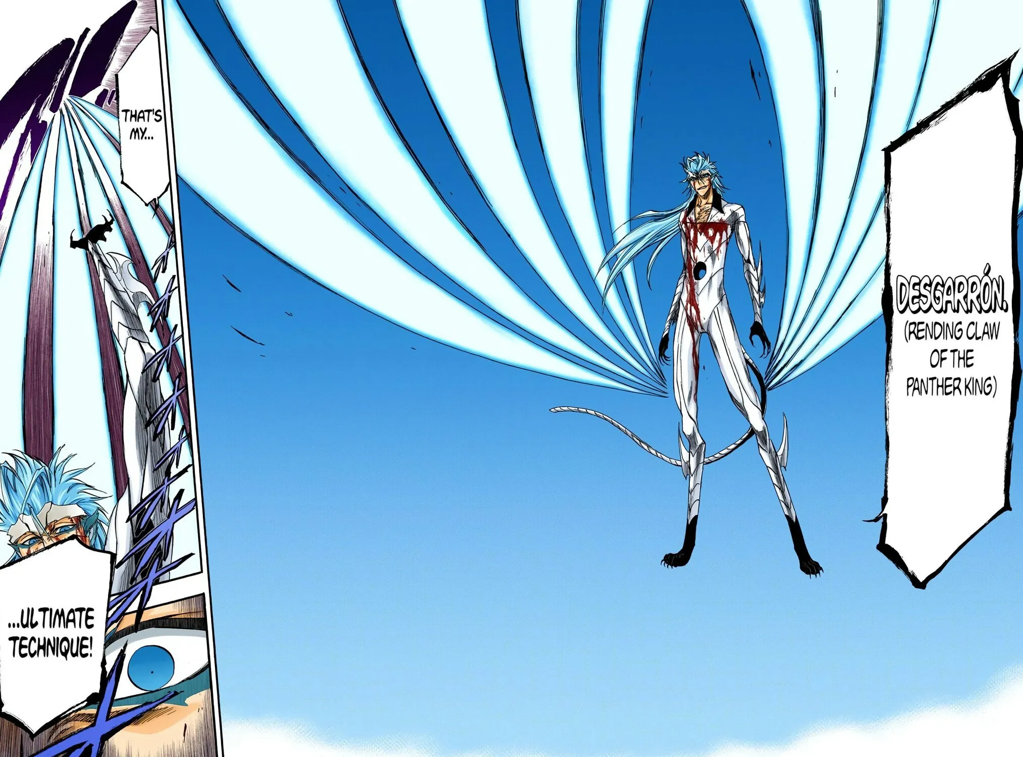 Bleach Colored Manga