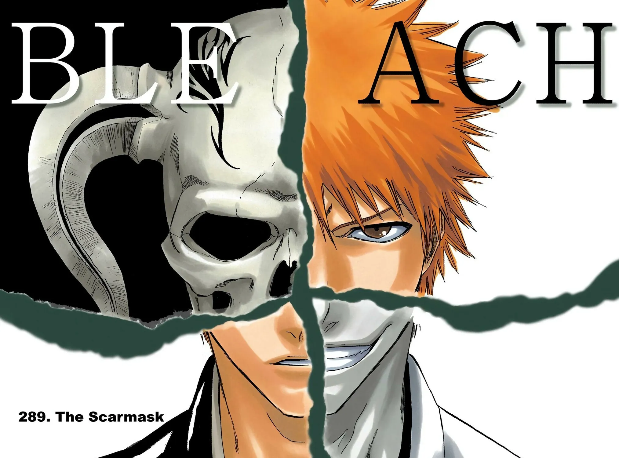 Bleach Colored Manga