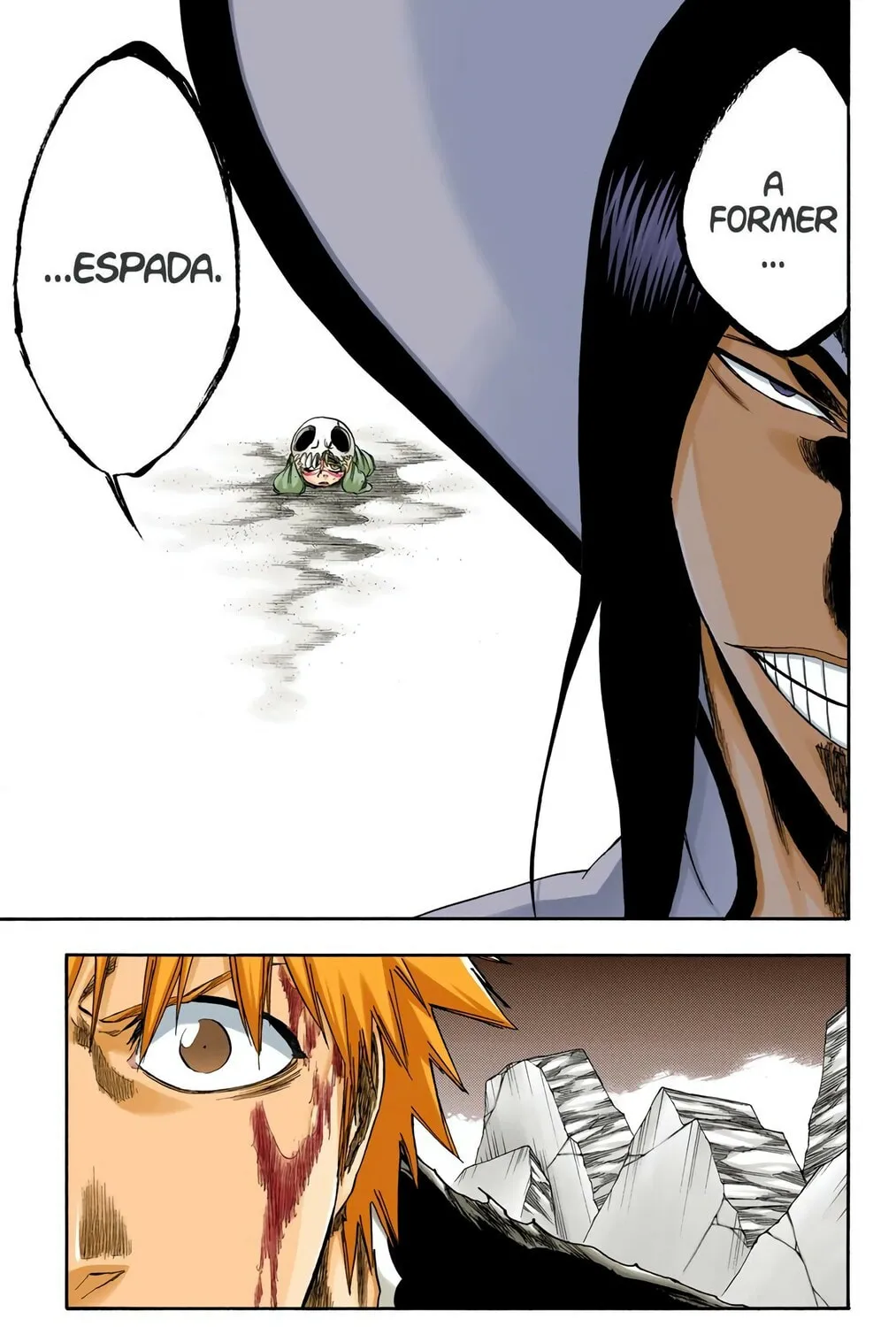 Bleach Colored Manga