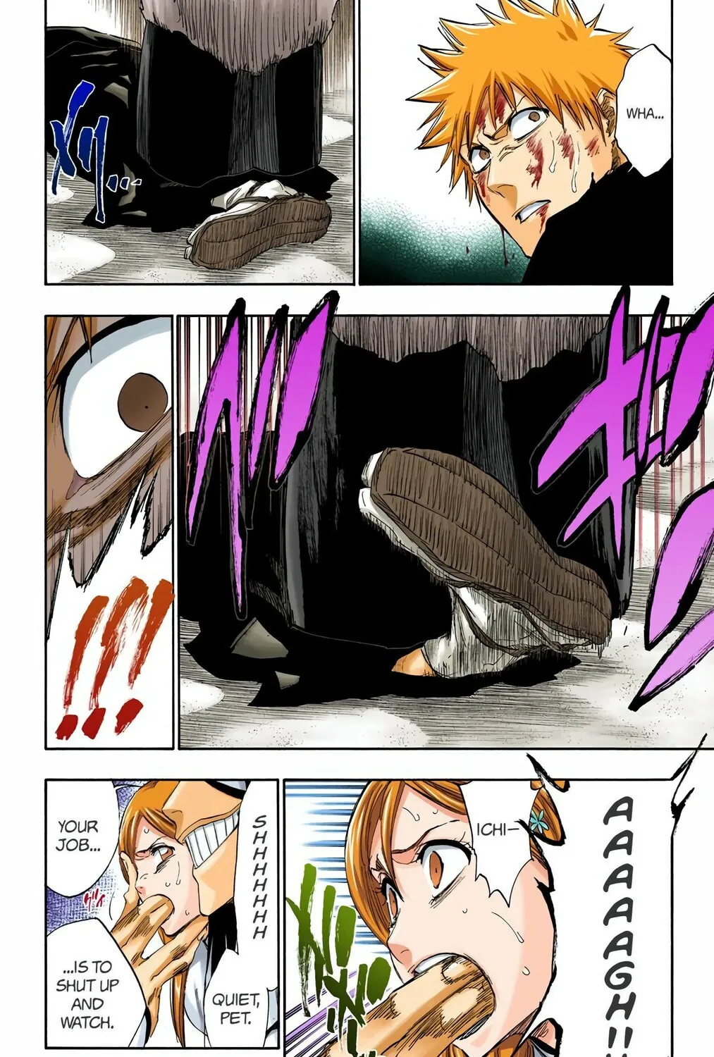 Bleach Colored Manga
