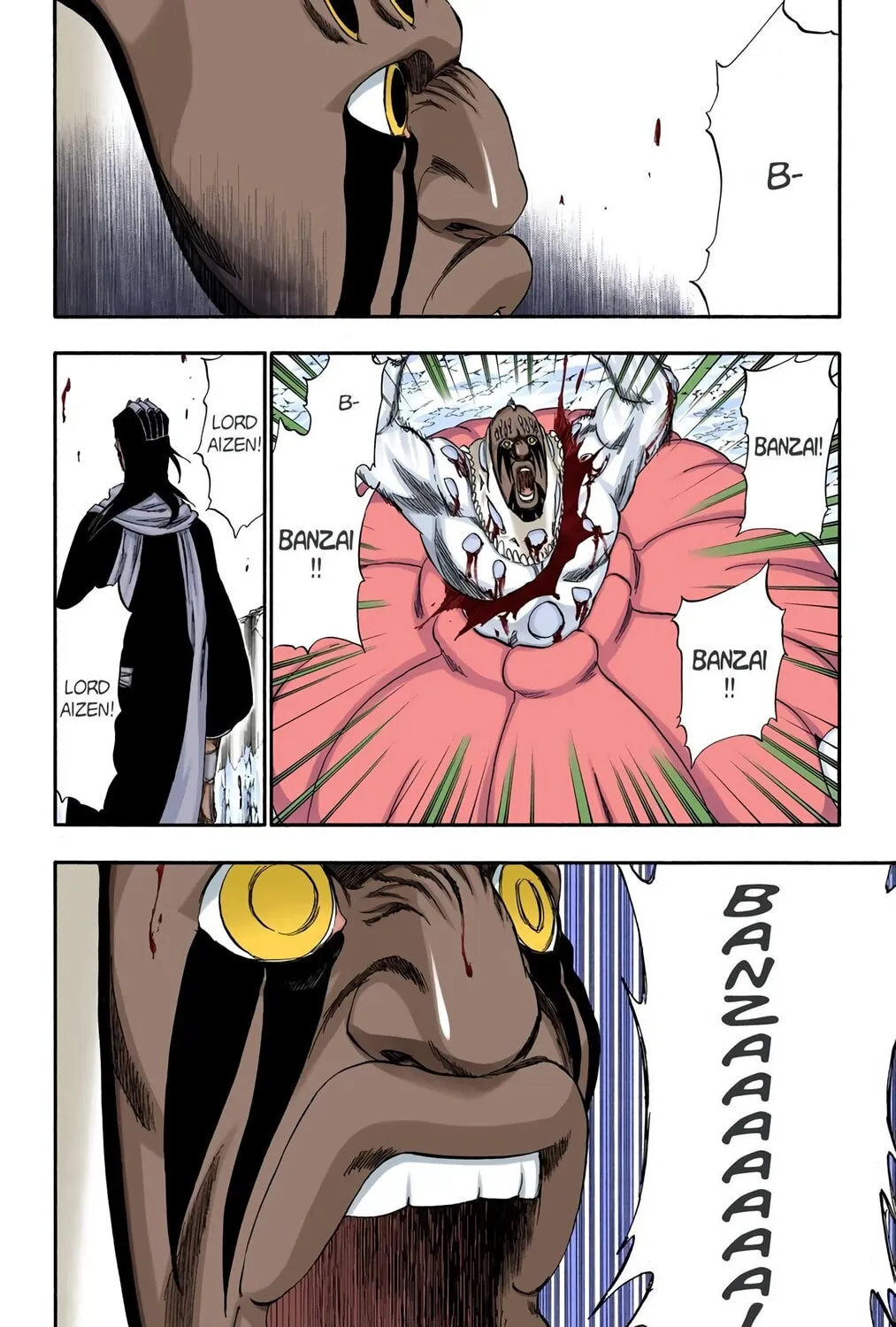 Bleach Colored Manga