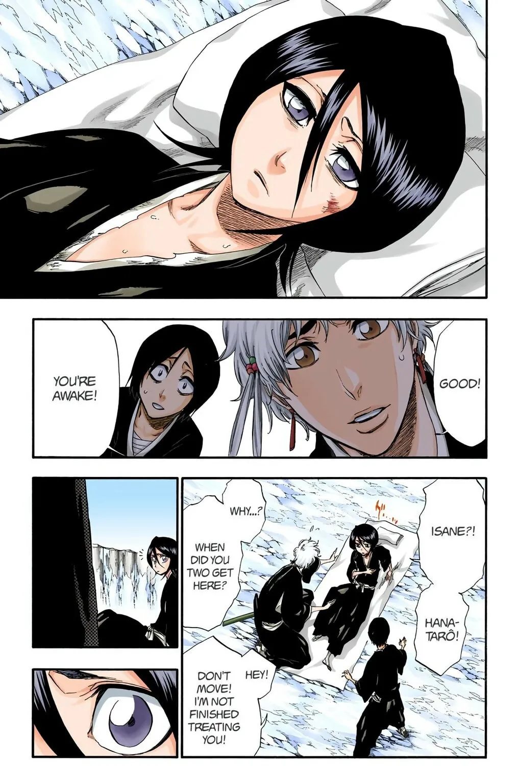 Bleach Colored Manga