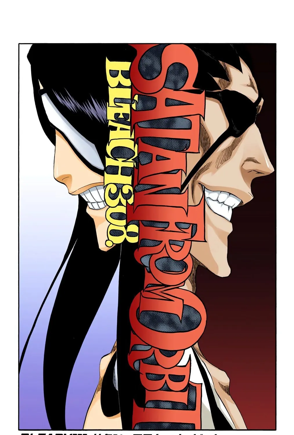 Bleach Colored Manga