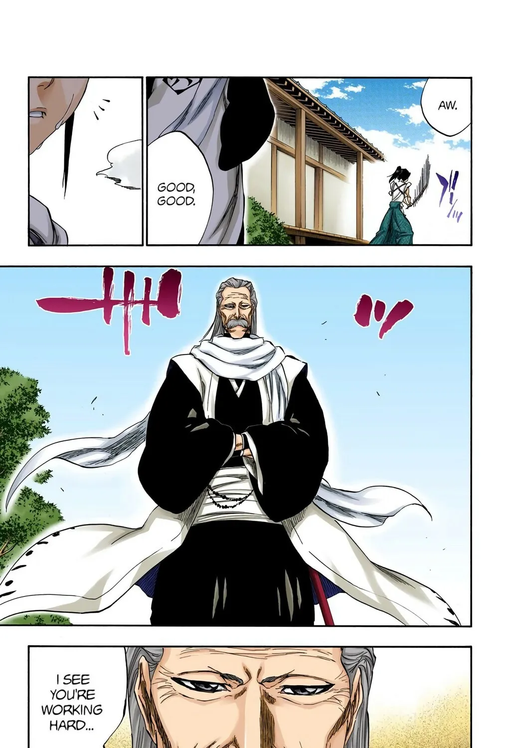 Bleach Colored Manga