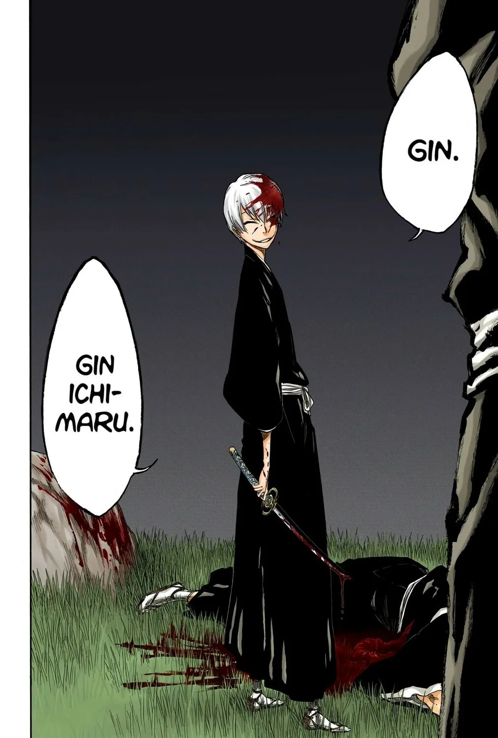 Bleach Colored Manga