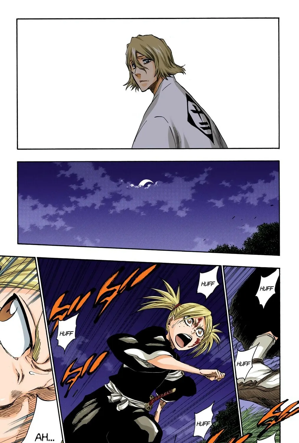 Bleach Colored Manga