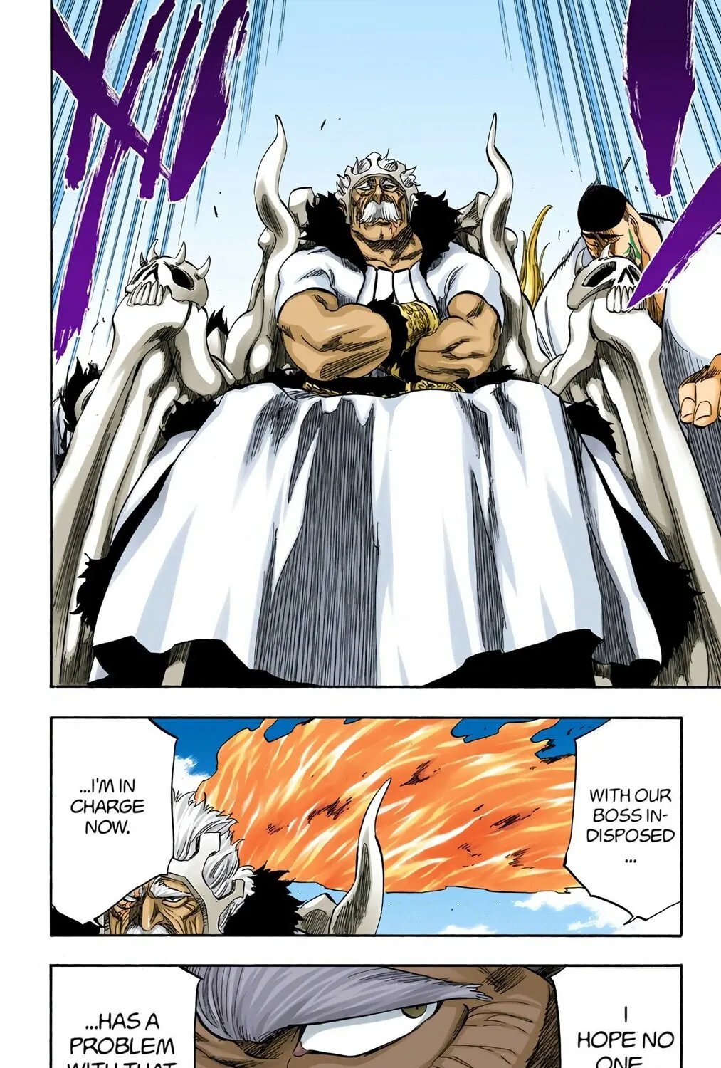 Bleach Colored Manga