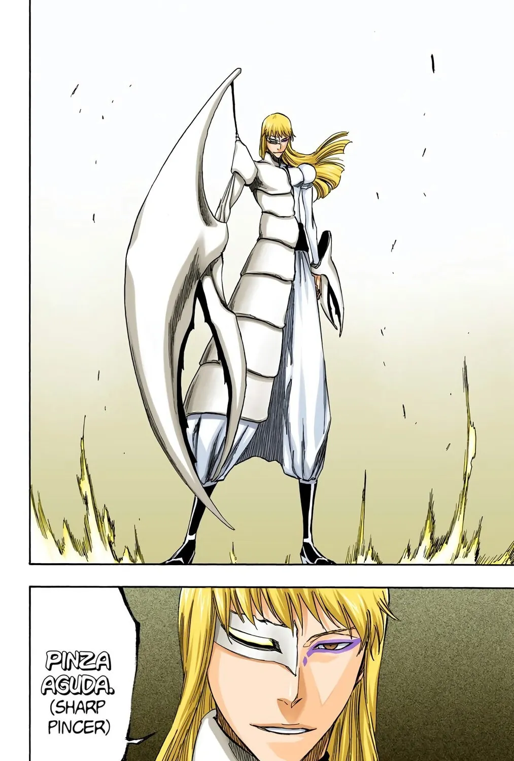Bleach Colored Manga