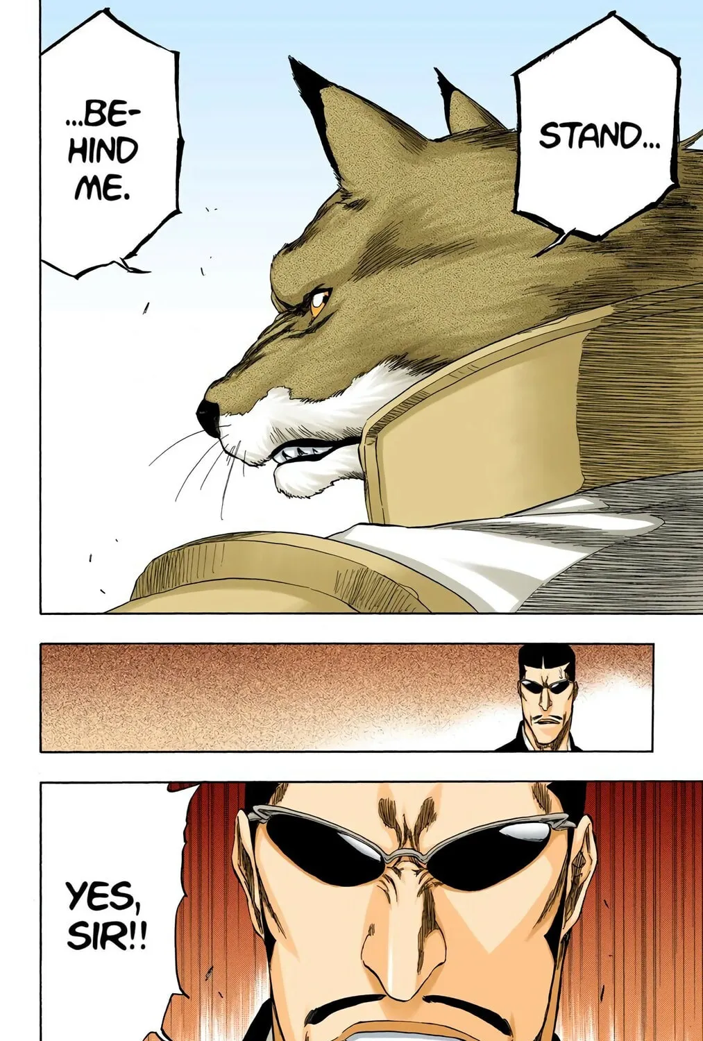 Bleach Colored Manga