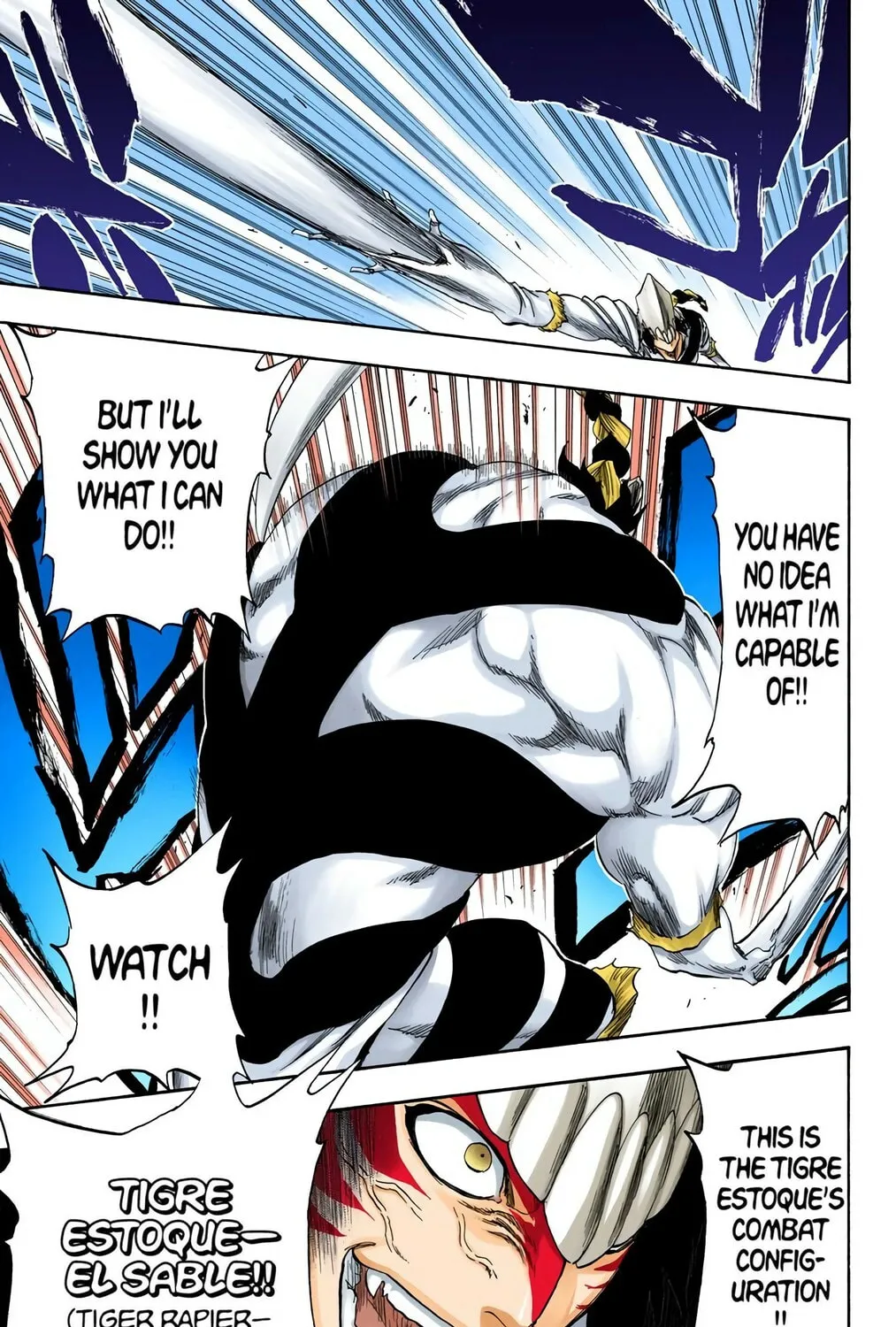 Bleach Colored Manga