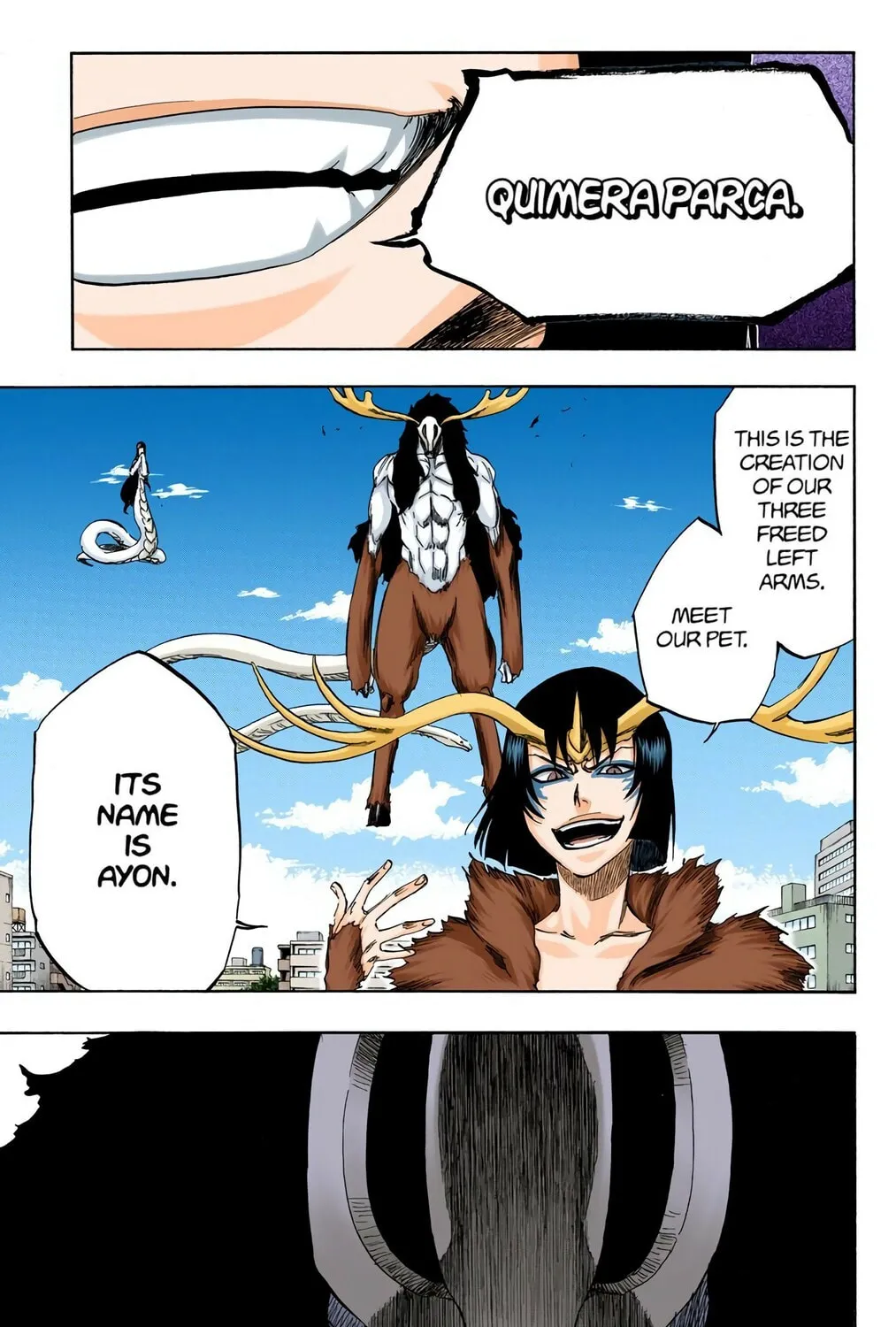 Bleach Colored Manga