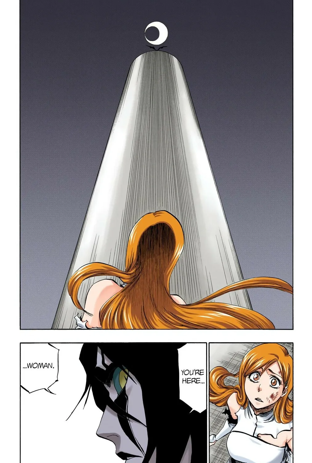 Bleach Colored Manga