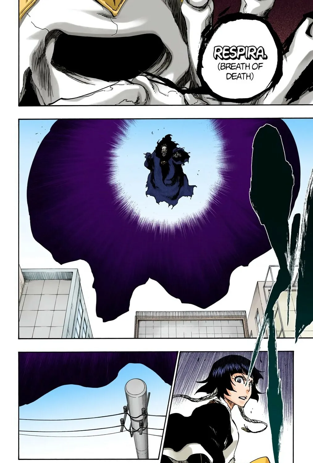 Bleach Colored Manga