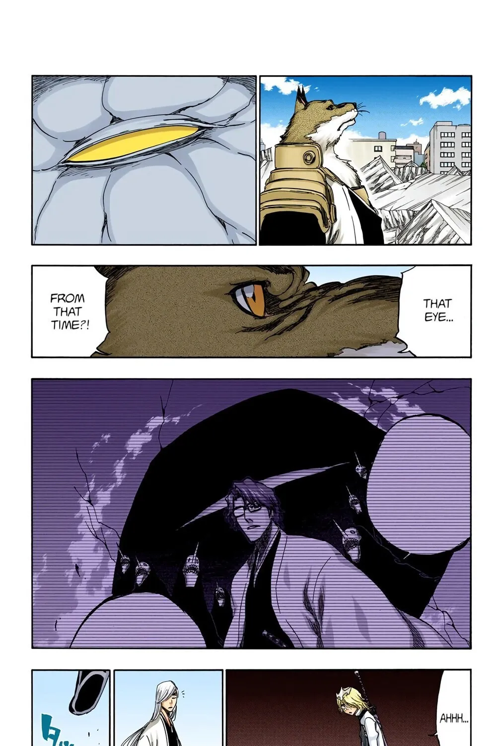 Bleach Colored Manga