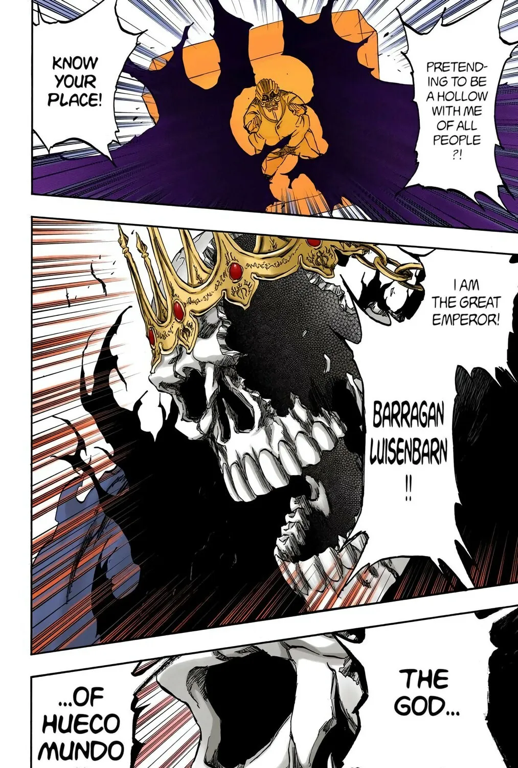 Bleach Colored Manga