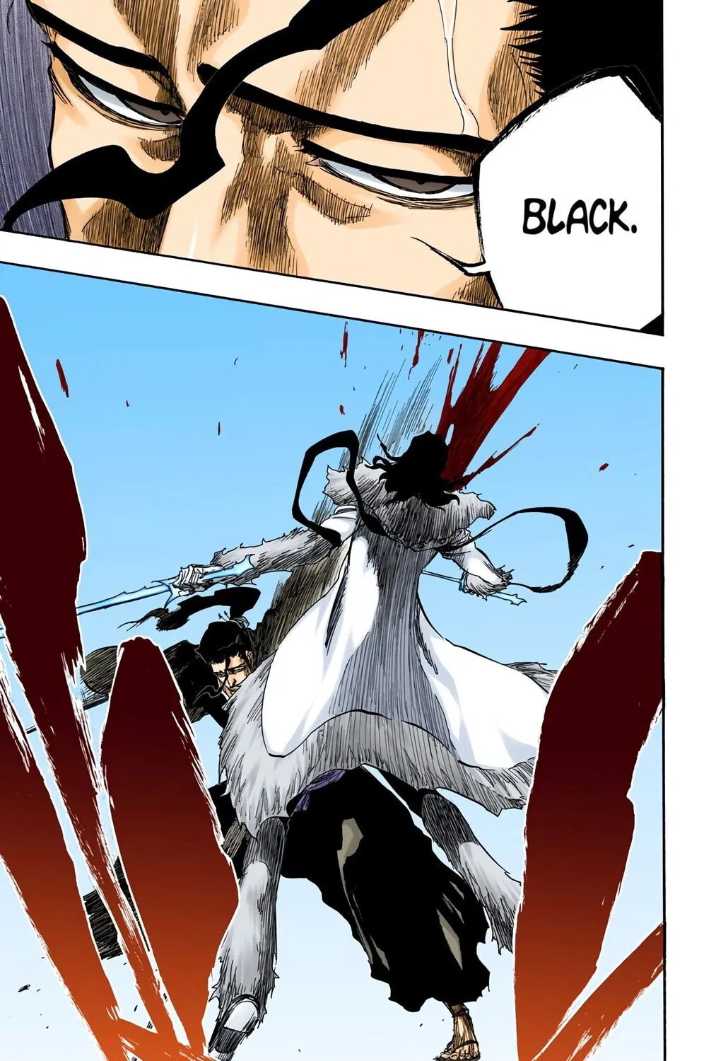 Bleach Colored Manga