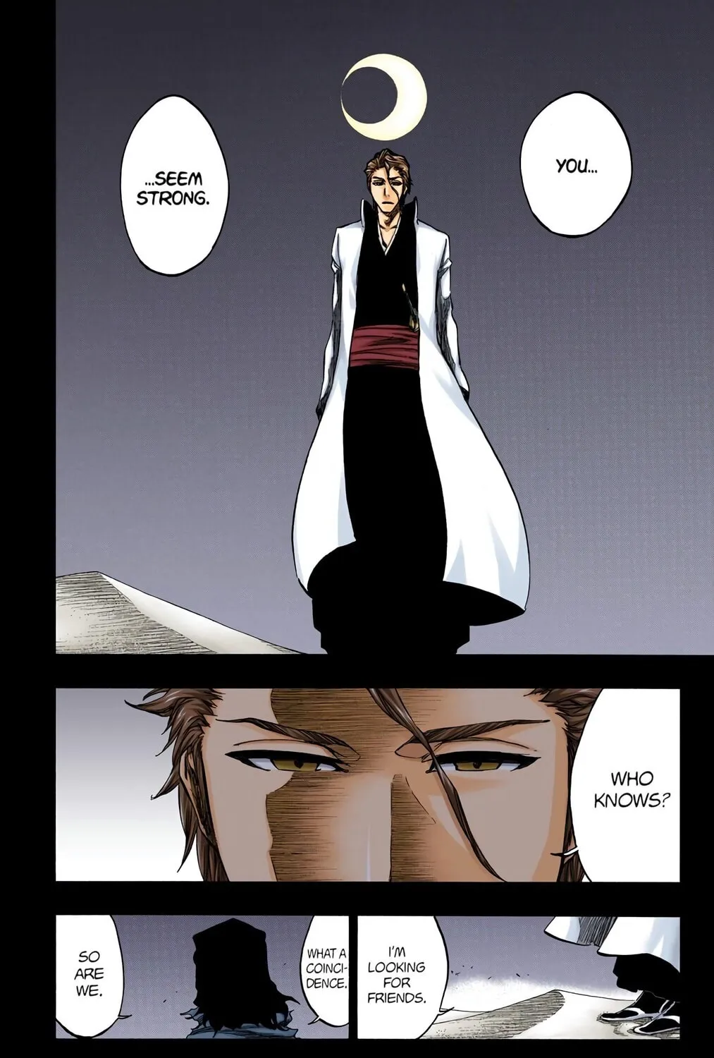 Bleach Colored Manga